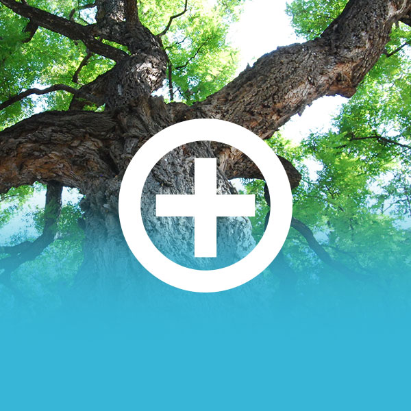 GewichtEHBO maagverkleining (met begeleiding)