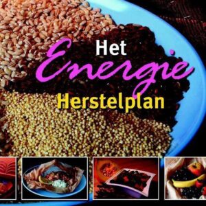 Het Energie Herstelplan – M. de Waal